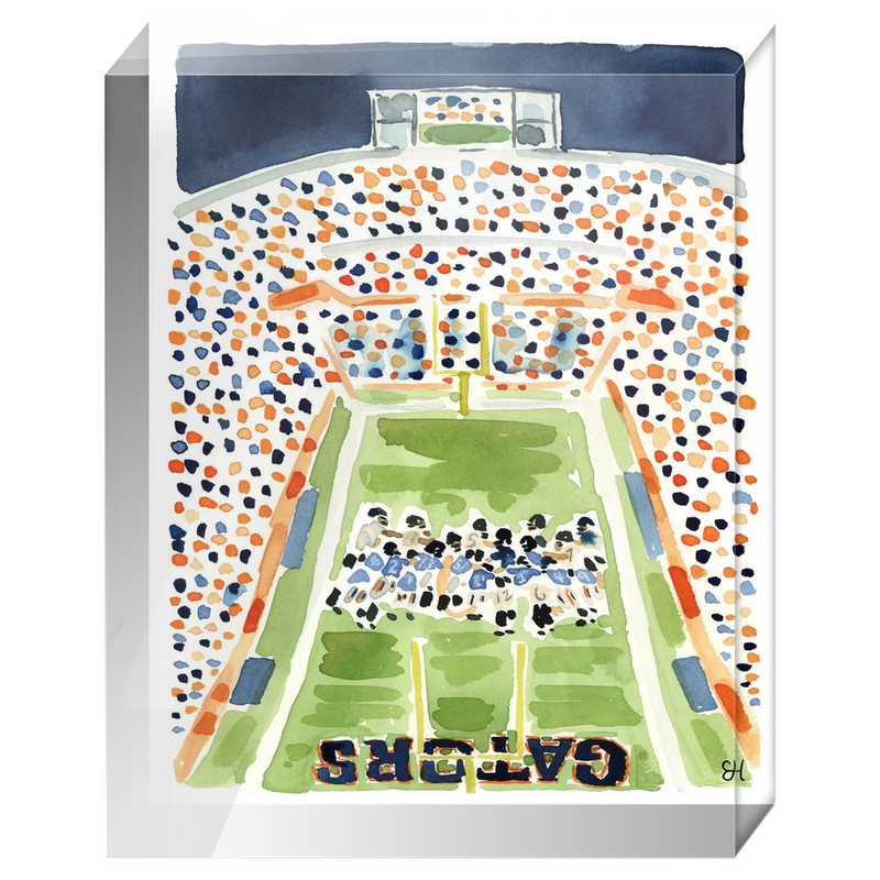 "Ben Hill Griffin Stadium" Fine Art Print