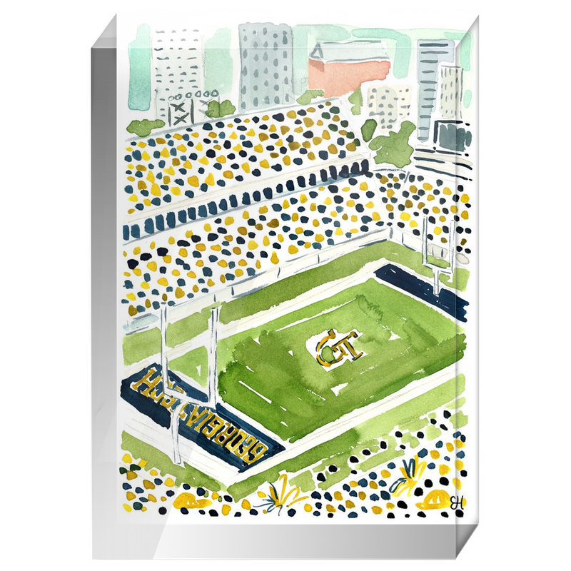 "Bobby Dodd Stadium" Fine Art Print