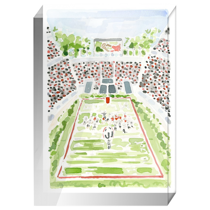 "Sanford Stadium" Fine Art Print