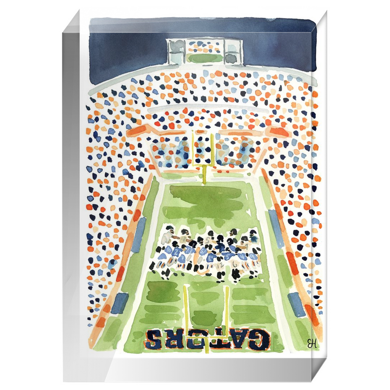 "Ben Hill Griffin Stadium" Fine Art Print