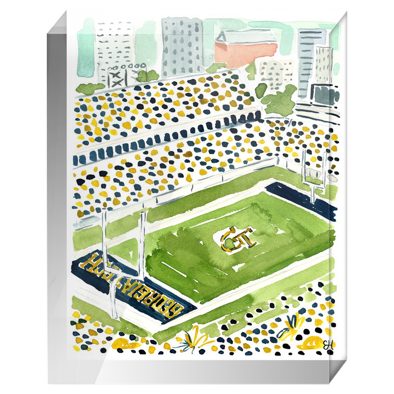 "Bobby Dodd Stadium" Fine Art Print