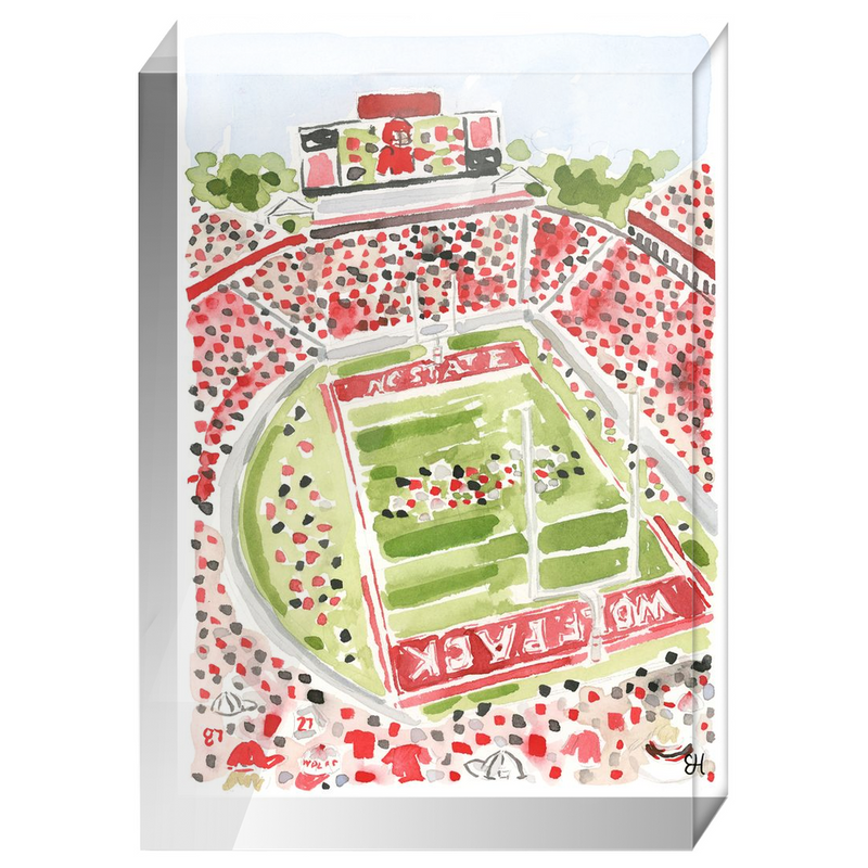 "Carter-Finley Stadium" Fine Art Print