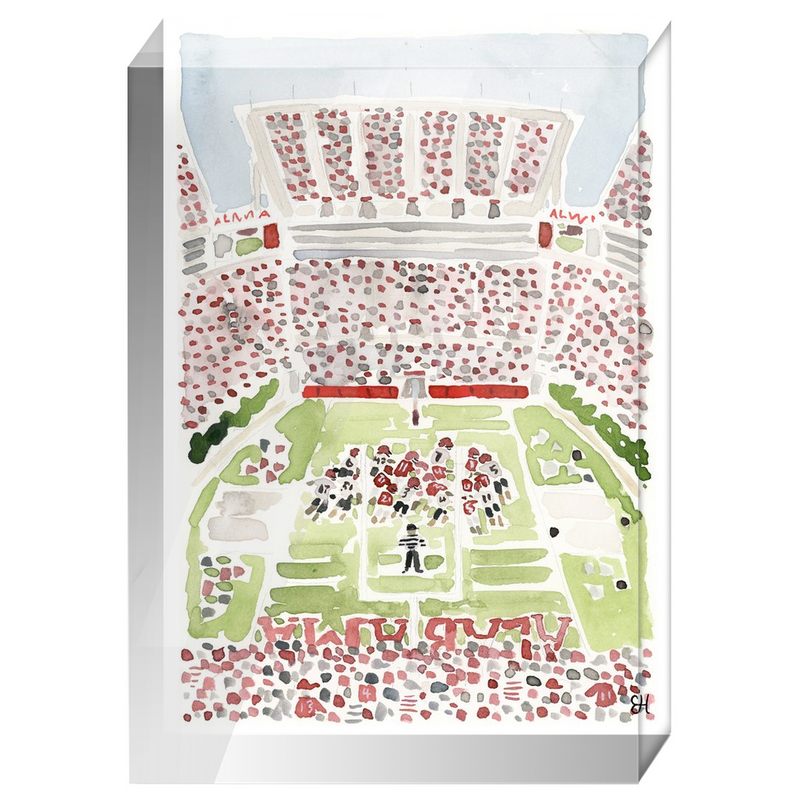 "Bryant-Denny Stadium" Fine Art Print