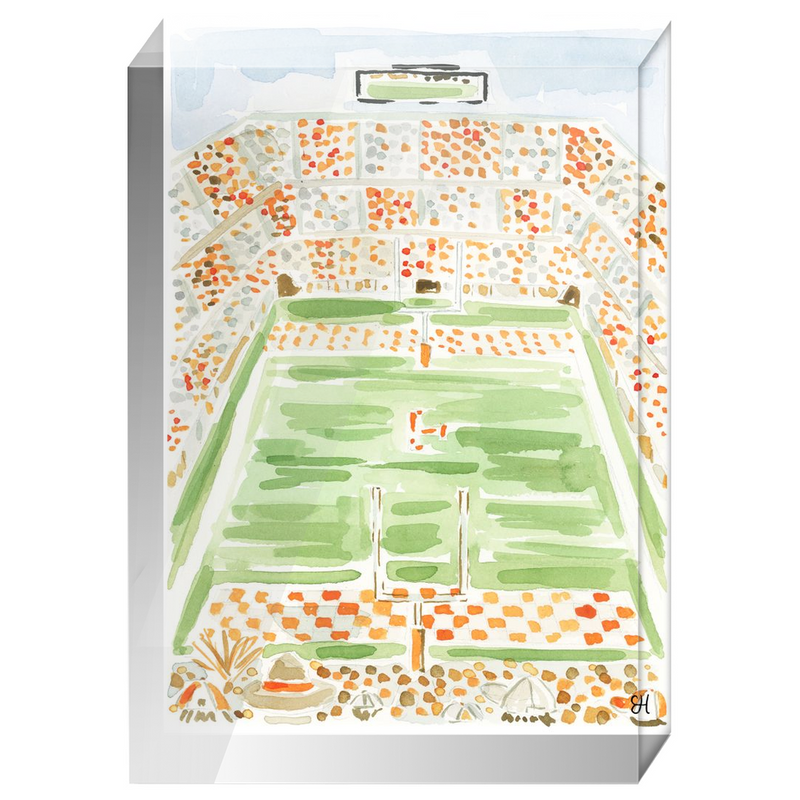 "Neyland Stadium" Fine Art Print