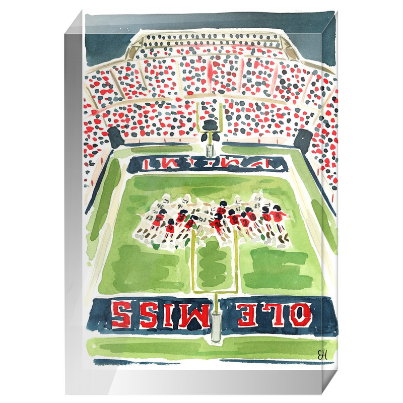 "Vaught-Hemingway Stadium" Fine Art Print