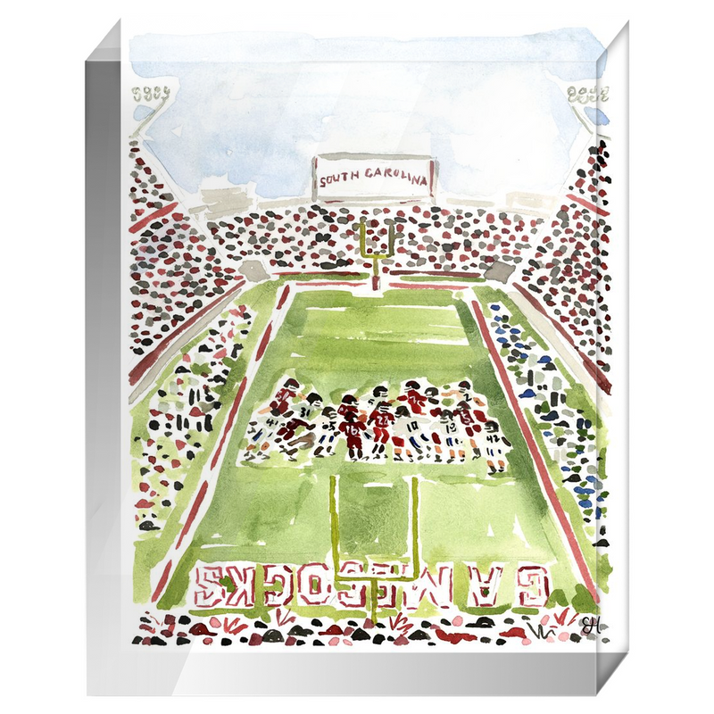 "Williams-Brice Stadium" Fine Art Print