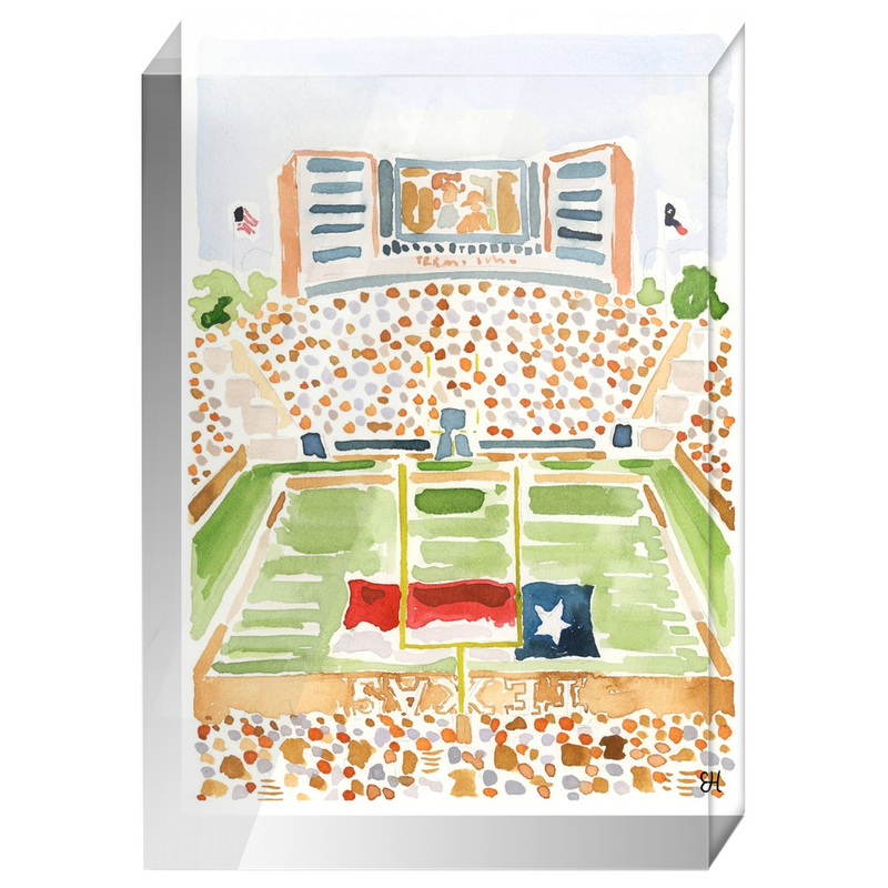 "Darrell K. Royal Memorial Stadium" Fine Art Print