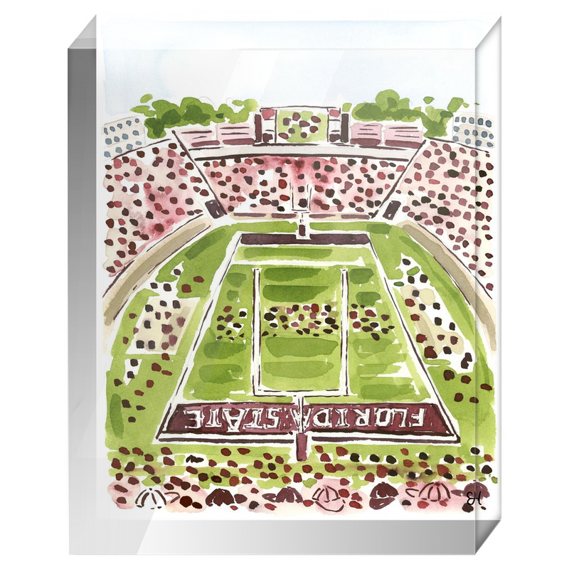 "Doak S. Campbell Stadium" Fine Art Print