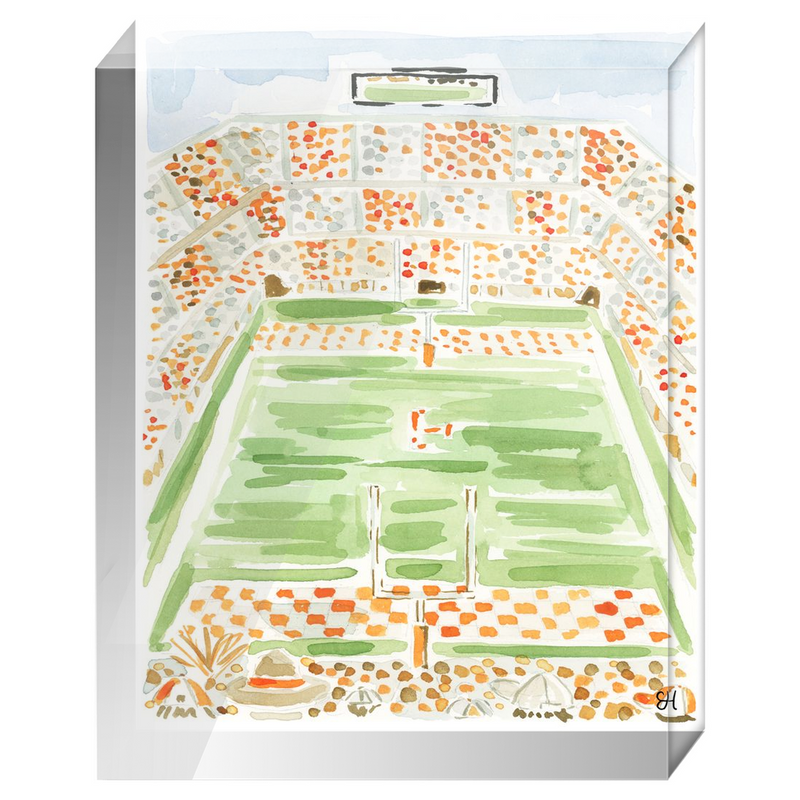 "Neyland Stadium" Fine Art Print