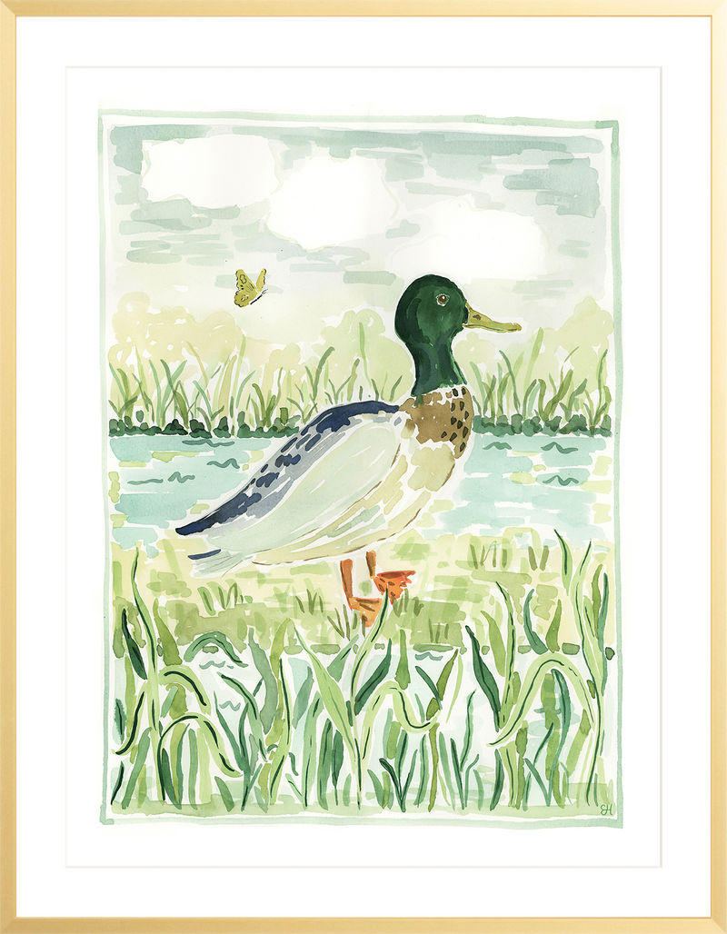 The "Mallard Walk" Fine Art Print