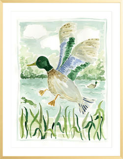 The "Mallard Jump" Fine Art Print