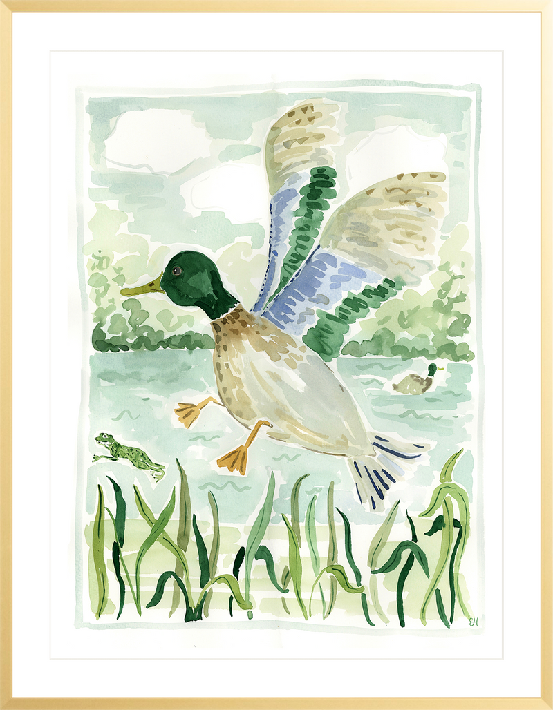 The "Mallard Jump" Fine Art Print