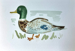 Duck No. 4, Original 7x10