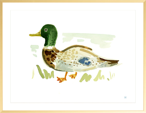 The "Duck No. 4" Fine Art Print