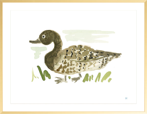 The "Duck No. 1" Fine Art Print