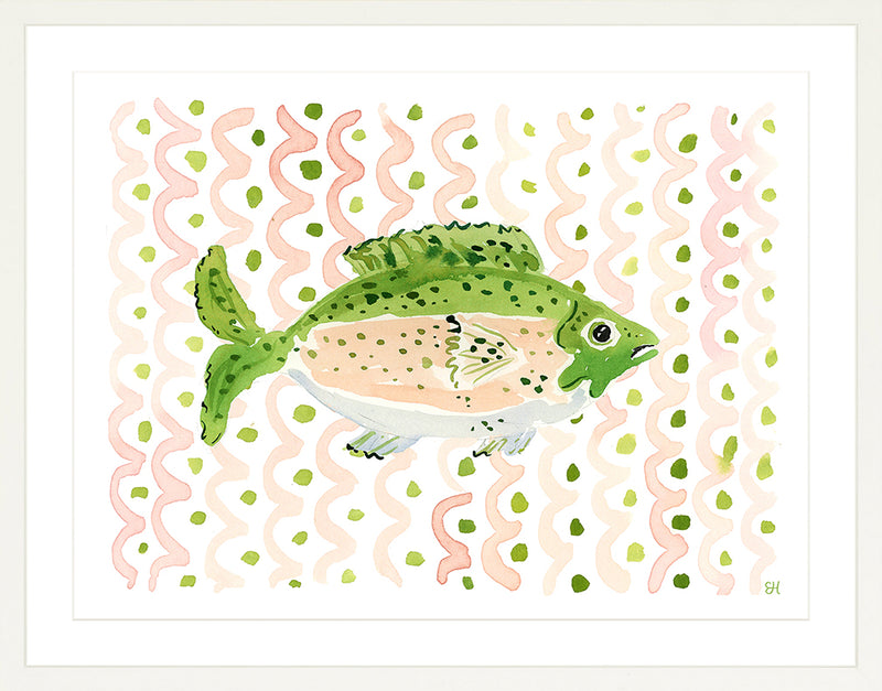 The "Swim Like a Fish" Watercolor Fish Fine Art Print