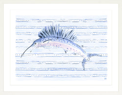 The "Sailfish Star and Stripes" Watercolor Fish Fine Art Print