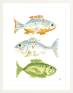 The "Fish School No. 3" Watercolor Fish Fine Art Print