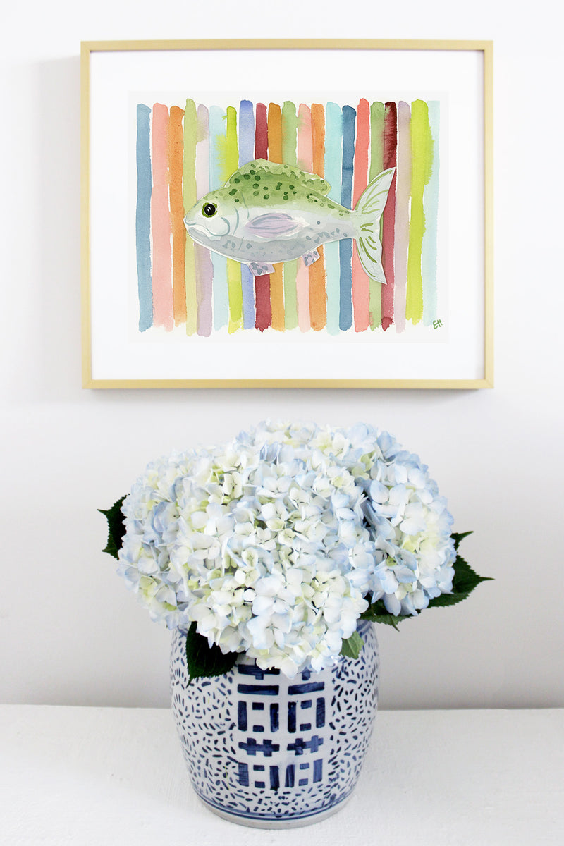 The "Fish at the End of the Rainbow" Watercolor Fish Fine Art Print