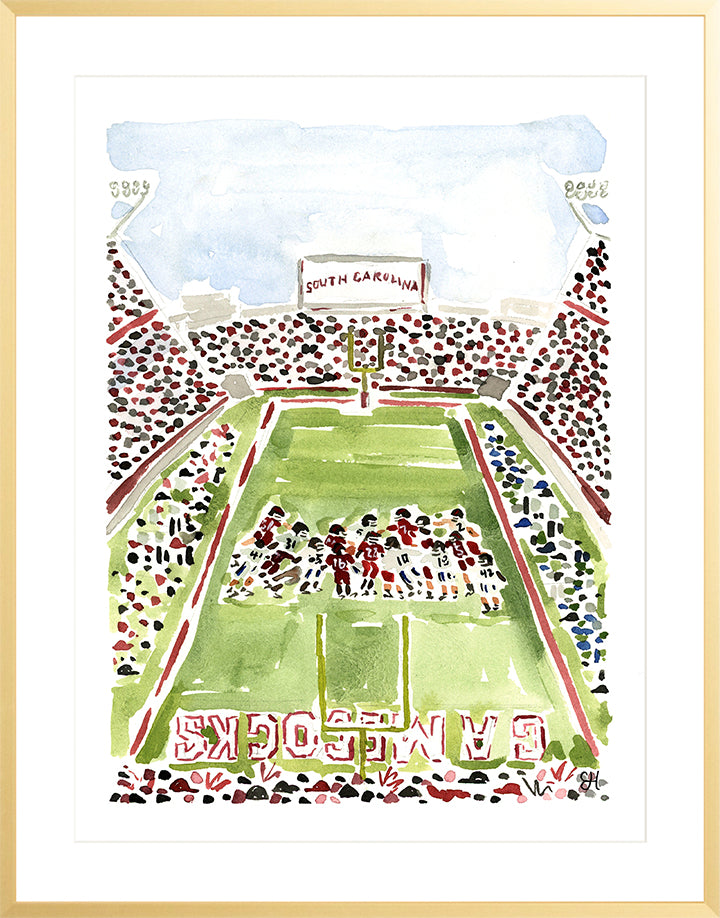 "Williams-Brice Stadium" Fine Art Print