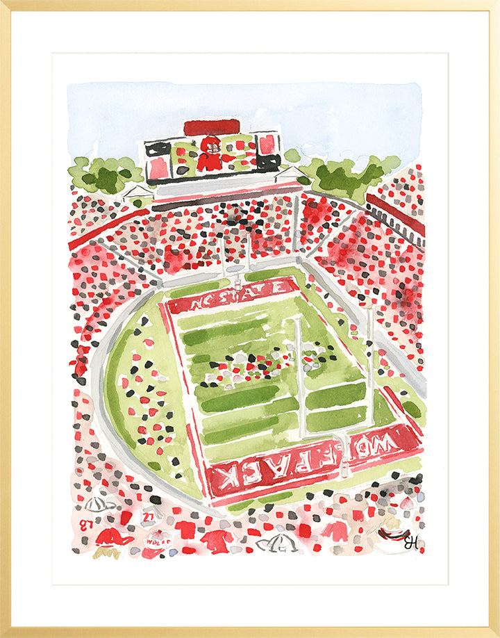 "Carter-Finley Stadium" Fine Art Print