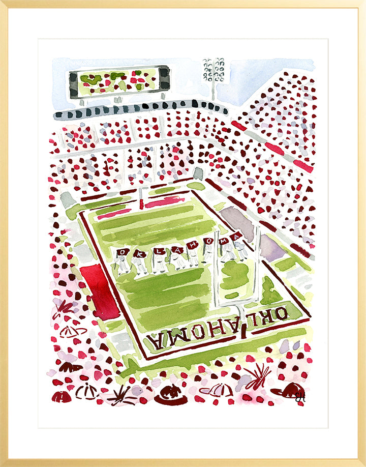 "Gaylord Stadium" Fine Art Print