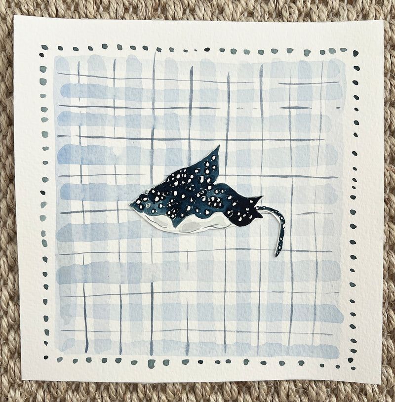 Plaid Stingray, Original 8x8