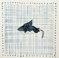 Plaid Stingray, Original 8x8