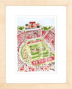 "Carter-Finley Stadium" Fine Art Print