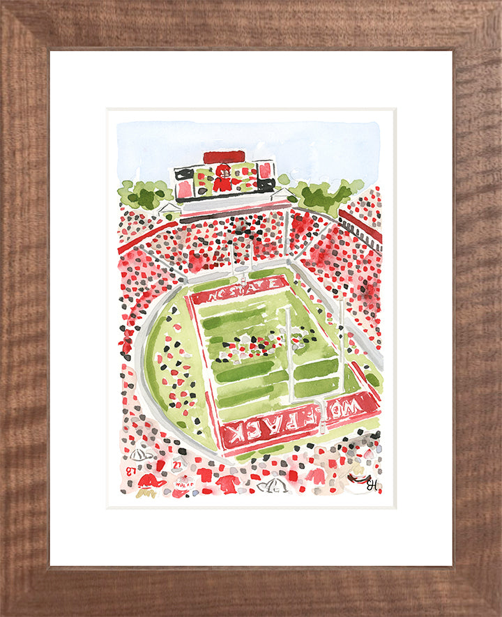 "Carter-Finley Stadium" Fine Art Print