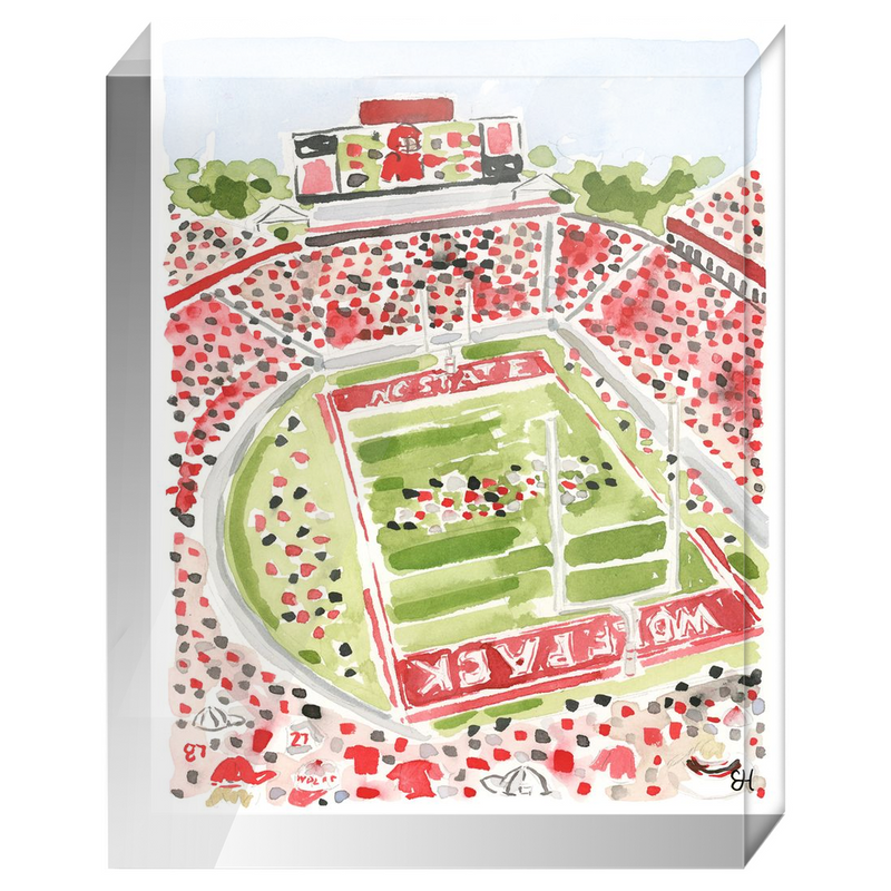 "Carter-Finley Stadium" Fine Art Print