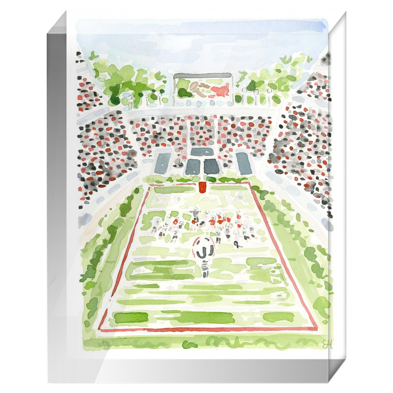 "Sanford Stadium" Fine Art Print